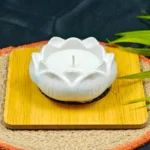 Sanvi Lotus Jar Old by Kahira Creation